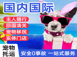 秦皇岛北戴河国际宠物托运 【国